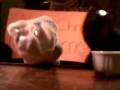 videos de PSAT Project, The Fall Of Jericho