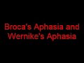 Broca's and Wernicke's Aphasic Sock Puppets