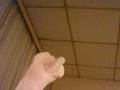 videos de Broca's and Wernicke's Aphasic Sock Puppets