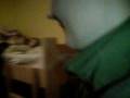 videos de 