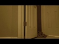 Muder scene