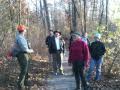 #17: Autumn Dusk at Hudson Mills Metropark
