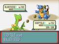Pokemon Ruby Destiny - Battle vs Leader Krona