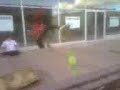 kid on skateboard stacking tre\