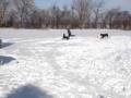 MOV06446.mpg