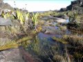 Roraima Nature and Plateau - YouTube