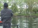 skunk2.wmv