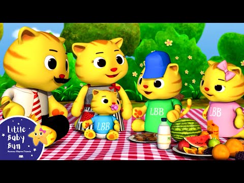 Finger Family - Cat Family | NEW VIDEO | Nursery Rhymes | HD Version