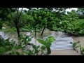 limón inundado iv
