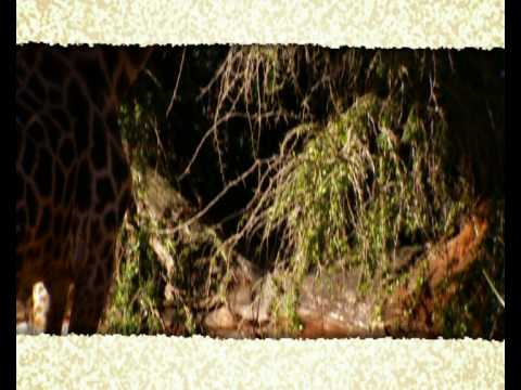Perth Zoo, Western Australia
