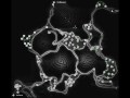 Assassin`s Creed Maps