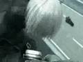 clip video Cocosuma Poison In My Veins
