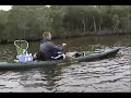 bull shark kayakfishing bull shark kayakfishing
