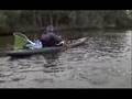 bull shark kayakfishing