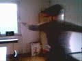 Crazy Skater