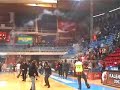 Paok haos - Uleb cup fight paok red star grobari Paok Partiz
