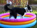 La nostra piscina!