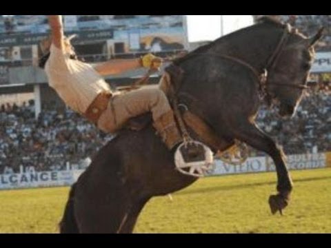 caballos salvajes - Esta disciplina tiene por objeto el desarrollo del caballo mediante un entrenamiento racional, metódico y equilibrado por medio del cual el jinete consigue q...