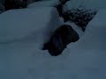 SNOW SNOW