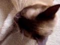 Fudge loves Murderdolls Fudge loves Murderdolls