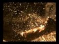 This vid is the first part of Helo&Sharon story arc from Battlestar Galactica series. (No need emphasizing that's my favourite couple :) )With BSG season 4 starting soon (April 4th 2008) my intension was to evoke memories of all the troubles they have been trough and all the differences they had to overcome to be where they were at the end of season 3.Vid is made of season 1 clips describing events happening on Cylon occupied Caprica and includes the most significant dialogues they had making that way their story understandable even to those who never saw this show before.