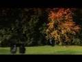 Cinematic-Orchestra-