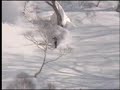 TOMOKI TAKAKU SNOWBOARD STEEP&amp;DEEP