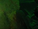 wreckdiving egersund wreckdiving egersund