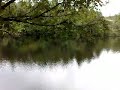 The Tranquility Of Tarn Hows