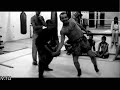 russian martial art system sibirskiy viun   italy 2006 dvd
