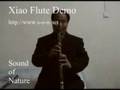 videos de Demo: Top Quality Queens' Tears Bamboo Chinese Xiao Flute