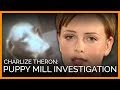 Undercover Puppy Mill Investigation