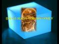 videos de La caja atemporal