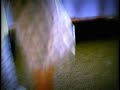 sexxxy-lady-legs.html