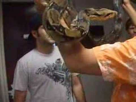 Watch 'Shaffee TV - with the Reptile Wrangler'