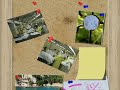 إن عمال و عاملات كل من شركة فيندي، بيرنيتكس، اسفا، إلياسكو، تازة مغرب، إسبيرونس، أوريونطال للخياطة، المنظر الجميل.....و بعض الجمعيات و النقابات الأخرى و الأحزاب السياسية.يدينون العمل البشع و الإجرامي الذي تعرض له إخوانهم بشركة أوريونطال ووش و ذلك برشقهم بالحجارة و سبهم و شتمهم و إهانتهم حيث تعد مسا للكرامة، والغريب في الأمر أن جمعية حقوق الإنسان بمدينة جرسيف تريد تشريد عمال و عاملات أوريونطال ووش كما كان لها في السابق مع عمال و عاملات شركة تازة مغرب و ليكن في علم الجميع أن جل أعضاء هذه الجمعية هم مع كامل الأسف أساتذة و معلمين لا يهمهم الأمر إن تراكمت البطالة بالمدينة، و الجدير بالذكر أن هده الجمعية تحارب البناء بدون رخصة و لكن ليس لأحد أعضائها المسمى السيد محمد لحسيني، الذي قام ببناء منزل متكون من سفلي و طابق أول محاذي للشركة بدون رخصة و لا تصميم مصادق عليه و قد حرر في حقه محضر مخالفة قانون التعمير بتاريخ 12/10/2007 تحت عدد 106 ووجهت شكوى إلى السيد و كيل جلالة الملك بتاريخ 27 فبراير 2008 تحت عدد 530 و نحن عمال الشركة سنوجه أيضا شكاية في الموضوع إلى السيد وكيل جلالة الملك لأن لحسايني قد أغلق نوافذ المعمل و ضرب عرض الحائط السلطات المحلية.و الغريب في الأمر ا حد زعماء عصابة غلق المعامل بمدينة جرسيف و هو