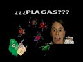 Fumigaciones El Laurel