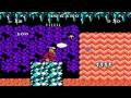 walkthrough of 1992 nes game - hudson's adventure island 3.