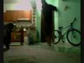 videos de bad apple shuffle (im fucking high)
