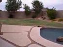 When the weather in Phoenix is bad...