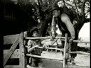 Adventures of Rin Tin Tin, The 1934 Adventures of Rin Tin Tin, The 1934
