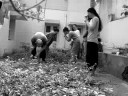 group sutra-neti kriya in Mysore