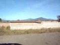 Cotija again