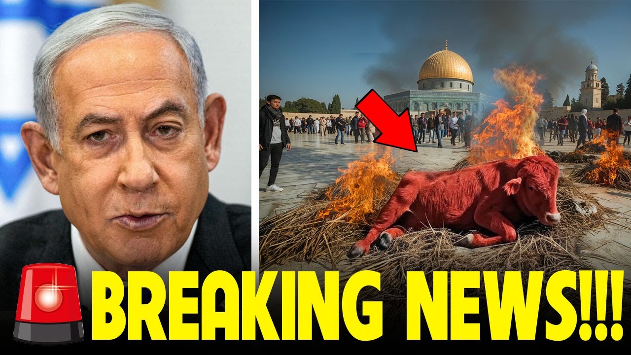 Third Temple is FINALLY Being Built But Something TERRIFYING Has Emerged!