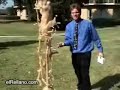 mentos-with-cocacolaesplosione.html
