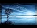 For Blue Skies - Strays Don\