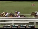 2008 Breeders\