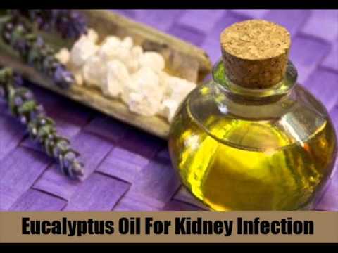 how to cure kidney infection