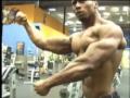 More-bodybuilding-mu