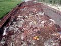 more trash